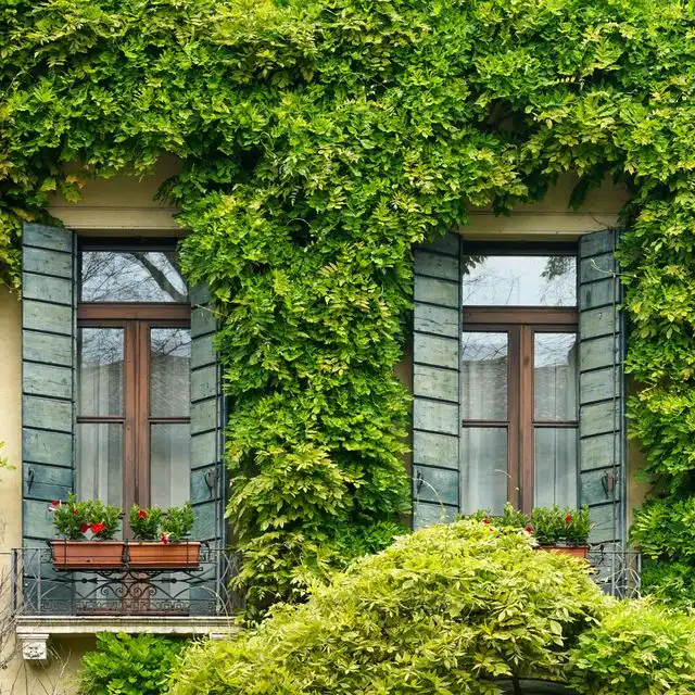 Gebäude-Typen in Bernau bei Berlin Rüdnitz