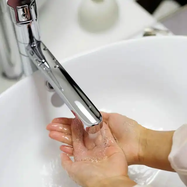 Wasserqualität in Berlin Halensee