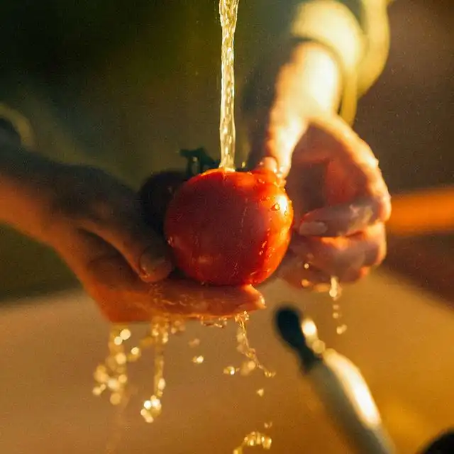 Wasserqualität in Lichtenberg Malchow