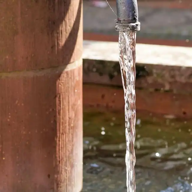 Wasserqualität in Berlin Rahnsdorf