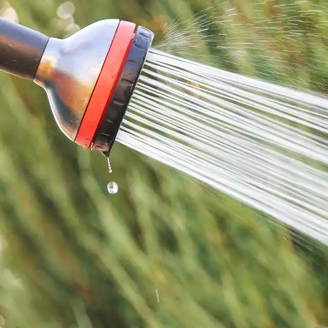 Wasserqualität in Potsdam Zuschauerstadt